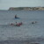 torbay lifesaving gallery of 2024 season Beach Training