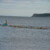 torbay lifesaving gallery of 2024 season Beach Training