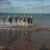 torbay lifesaving gallery of 2024 season Beach Training