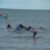 torbay lifesaving gallery of 2024 season Beach Training