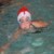 torbay lifesaving gallery of Christmas Fun Gala  2024