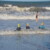torbay lifesaving gallery of Fun in the waves