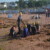torbay lifesaving gallery of Fun in the waves