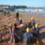 torbay lifesaving gallery of Fun in the waves