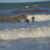torbay lifesaving gallery of Fun in the waves