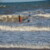 torbay lifesaving gallery of Fun in the waves