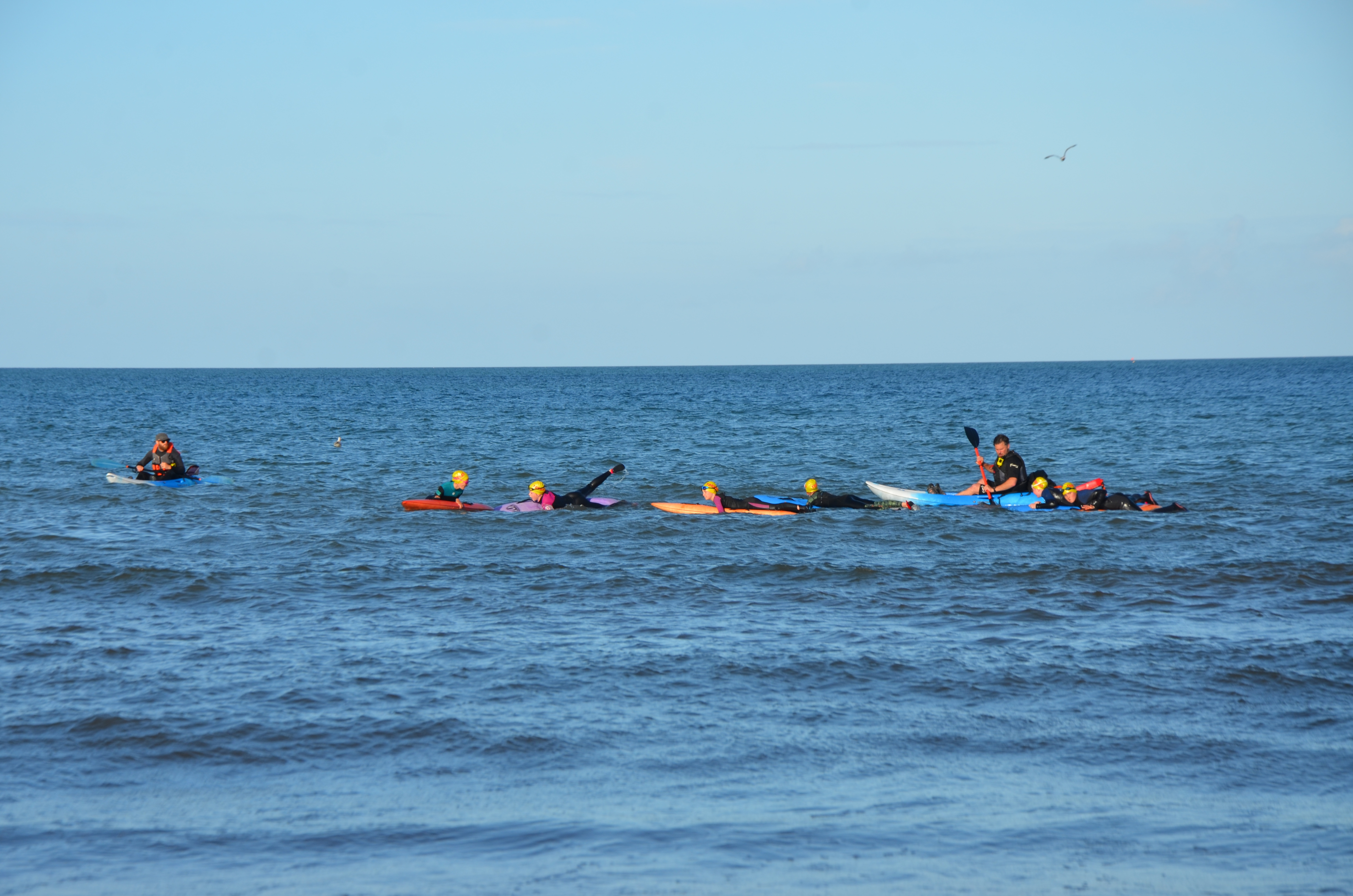 DSC_7944.JPG#asset:2183