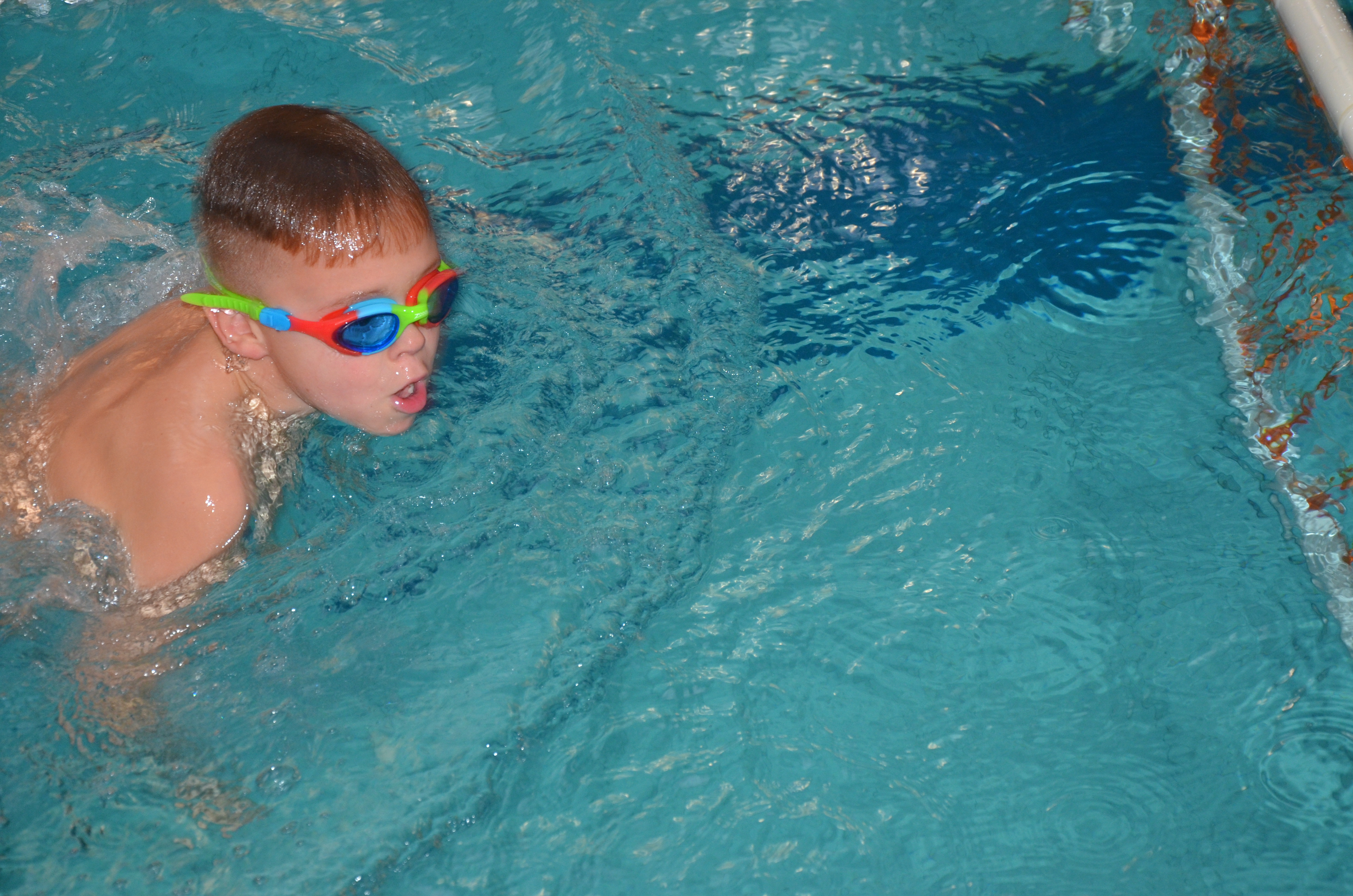 DSC_8783.JPG#asset:2106