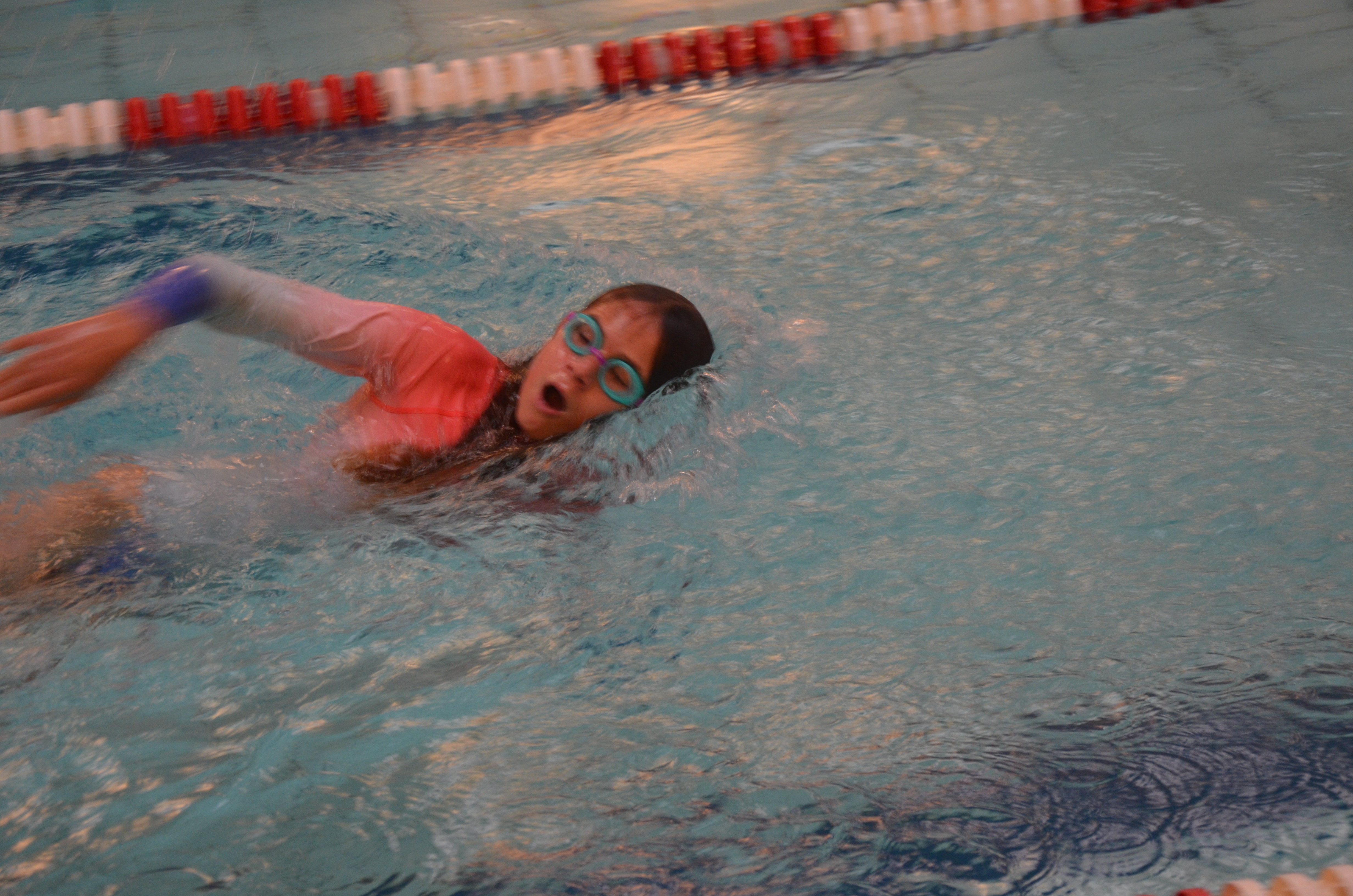 DSC_8816.JPG#asset:2110