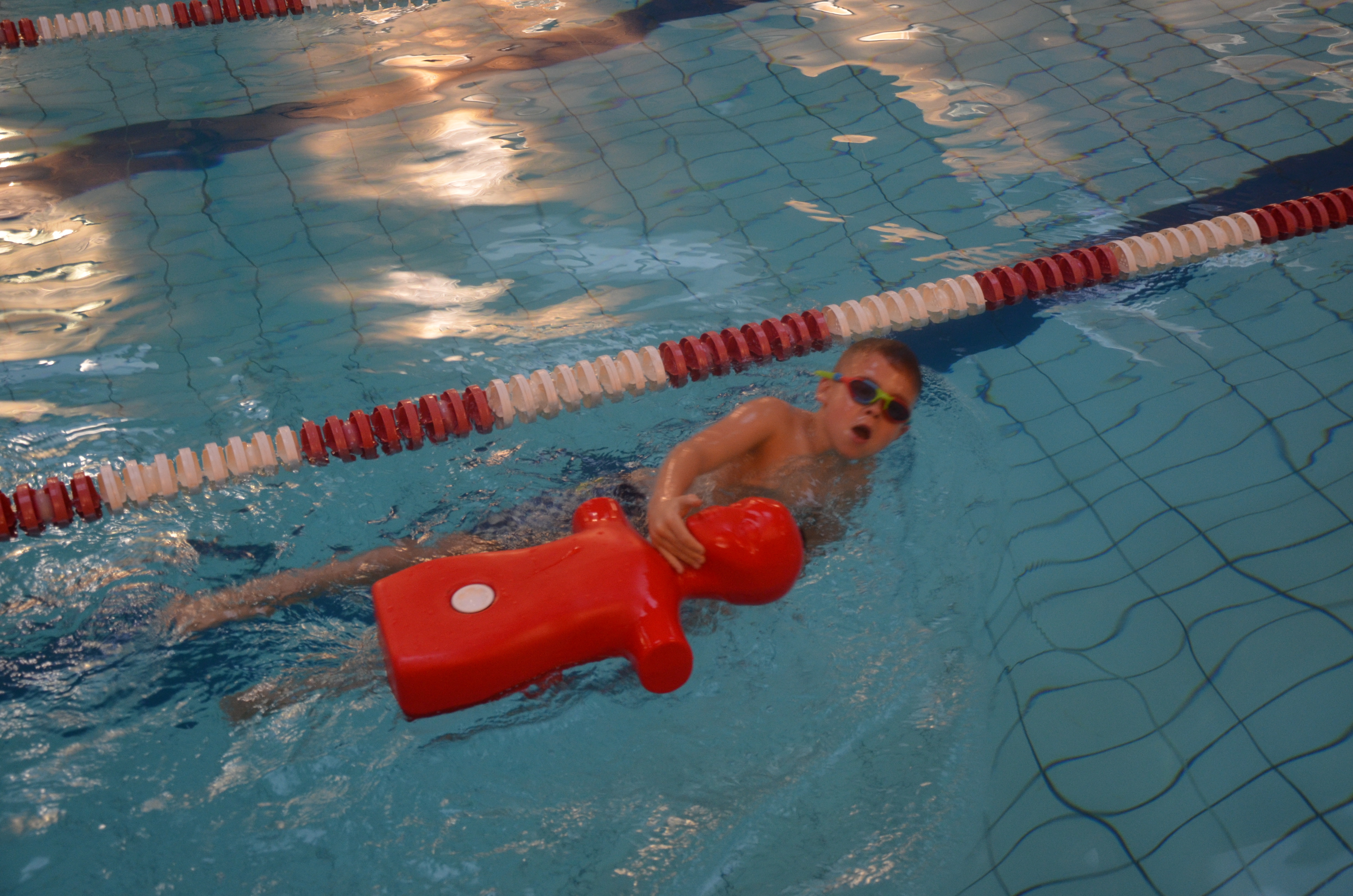 DSC_8852.JPG#asset:2118