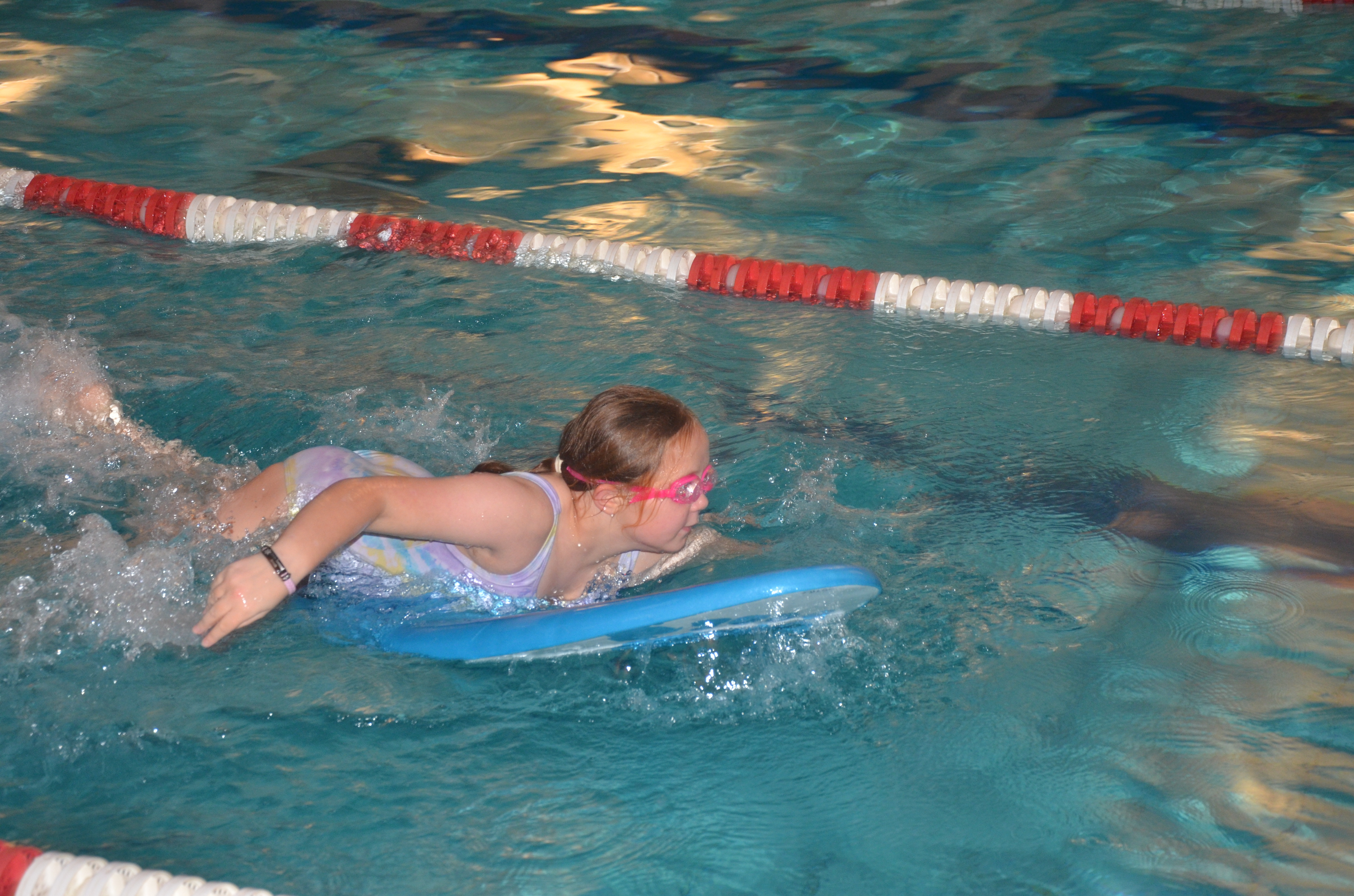 DSC_8889.JPG#asset:2125