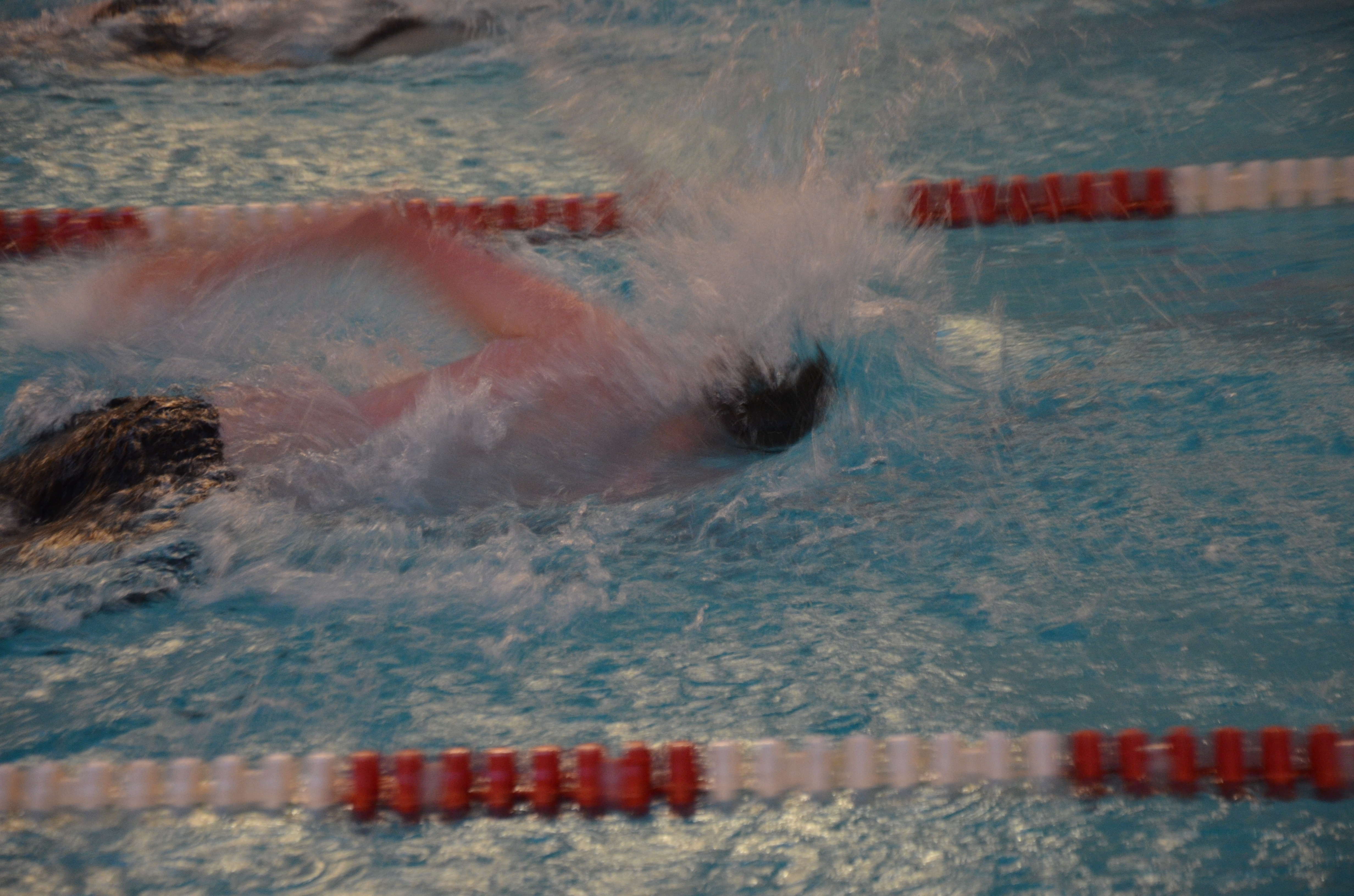 DSC_8901.JPG#asset:2126