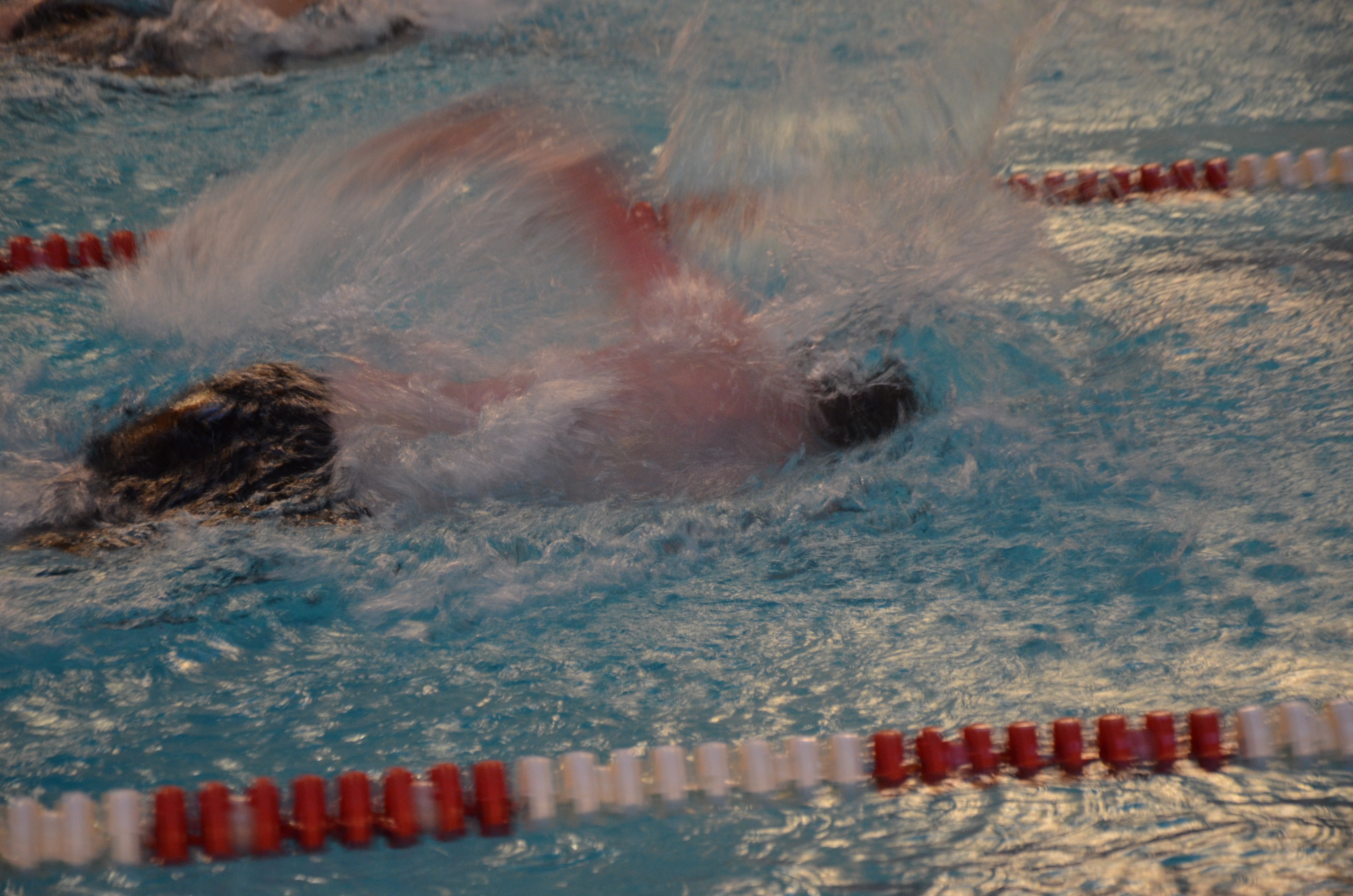 DSC_8906.JPG#asset:2127