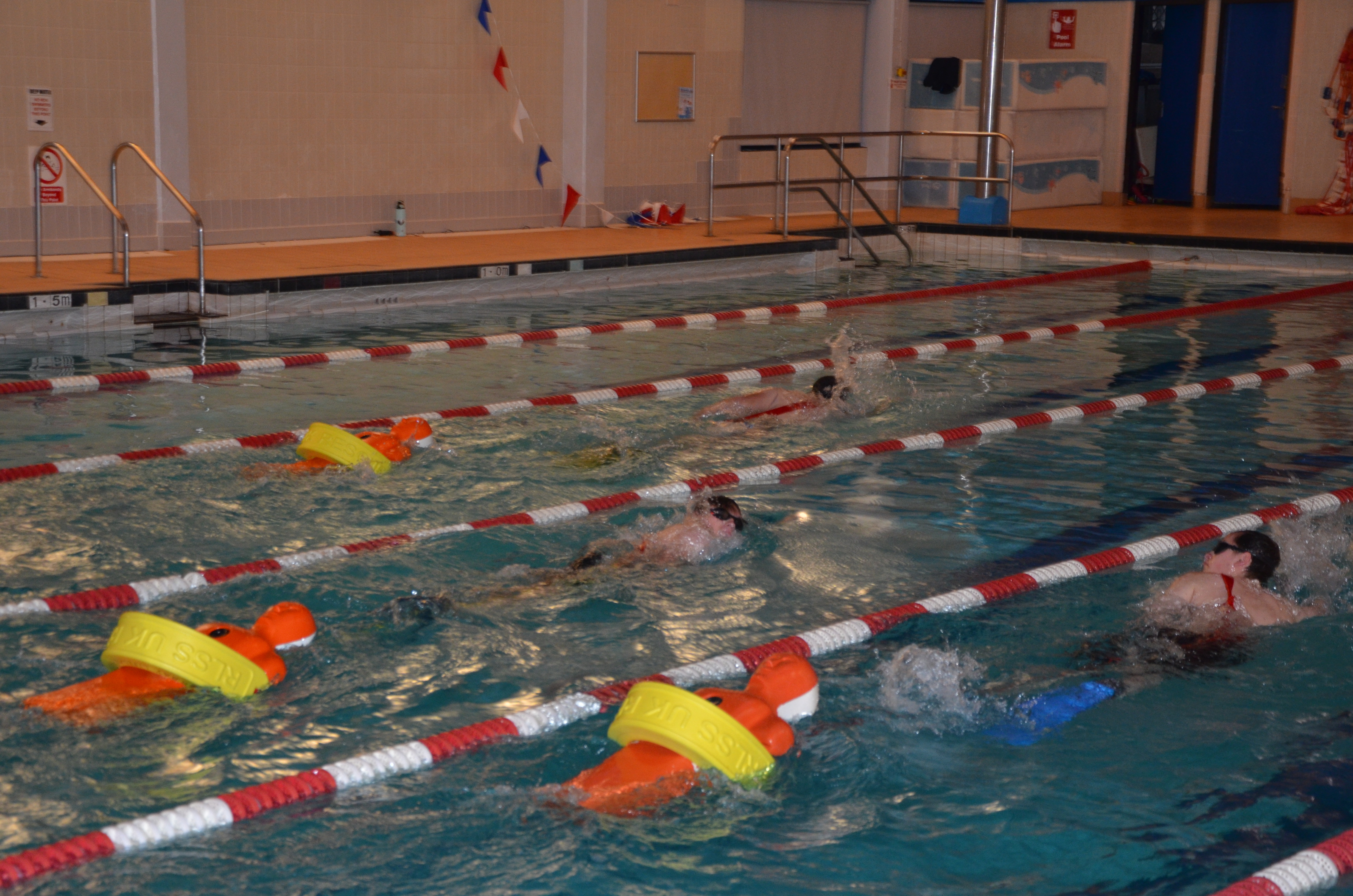 DSC_8944.JPG#asset:2133