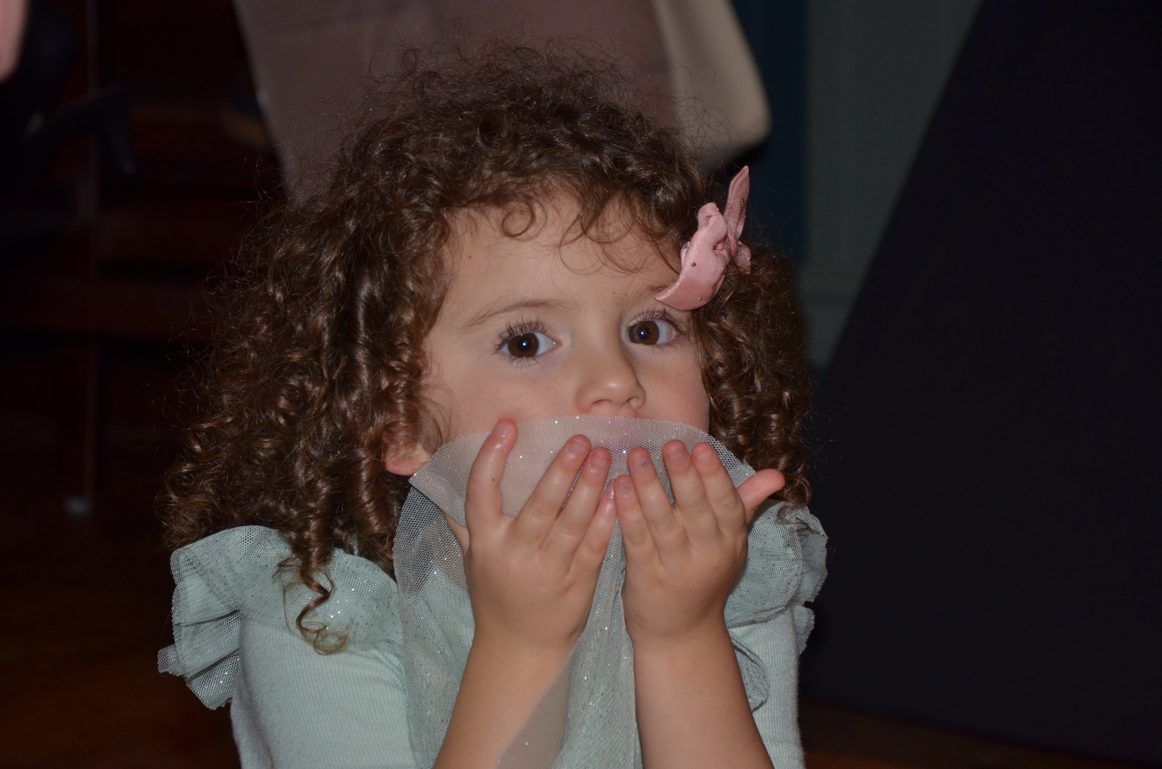 DSC_9002.JPG#asset:2156